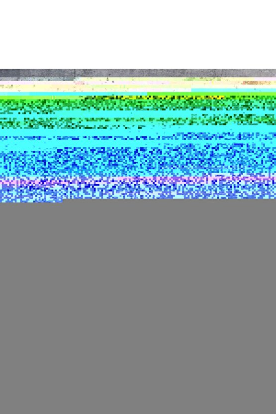 Dekoratif Kitap Görünümlü Kutu 2li Set Decorative Book Looking Box