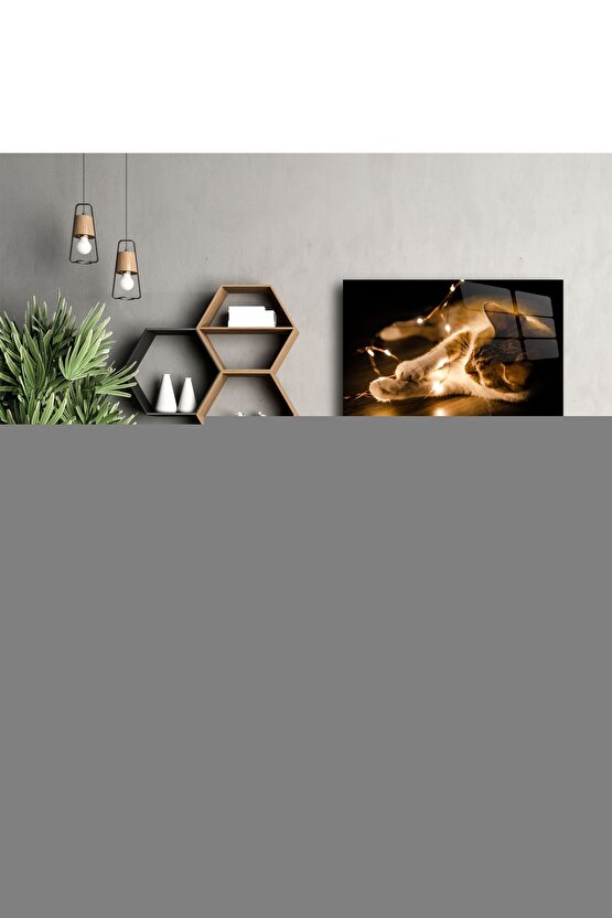 Dekoratif Kitap Görünümlü Kutu 2li Set Decorative Book Looking Box