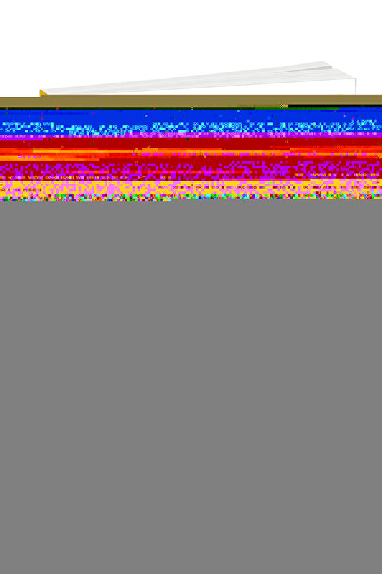 Kadın Yeşil Minimizer Toparlayıcı Sütyen 2114