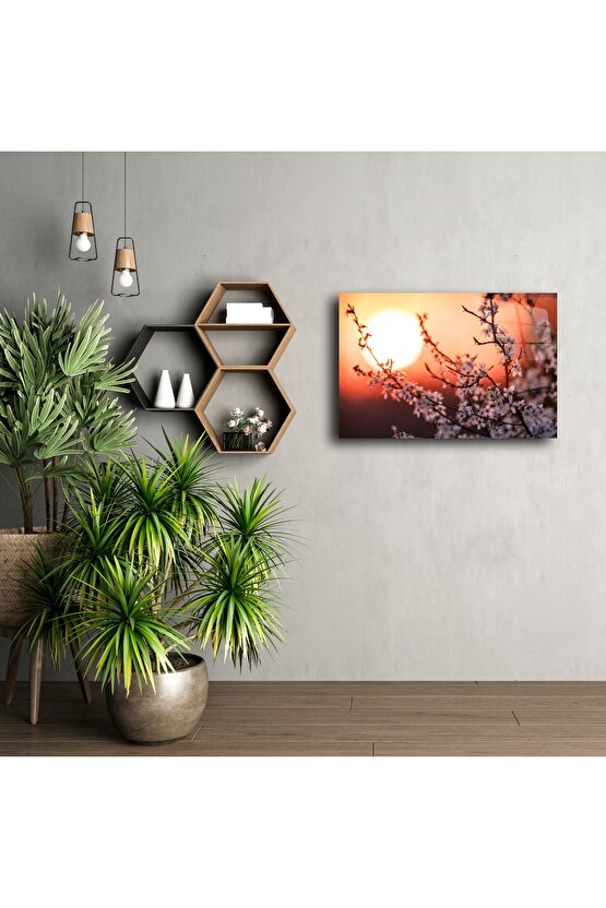 Romantik Gün Batımı Manzaralı Kiraz Çiçeği Kanvas Tablo