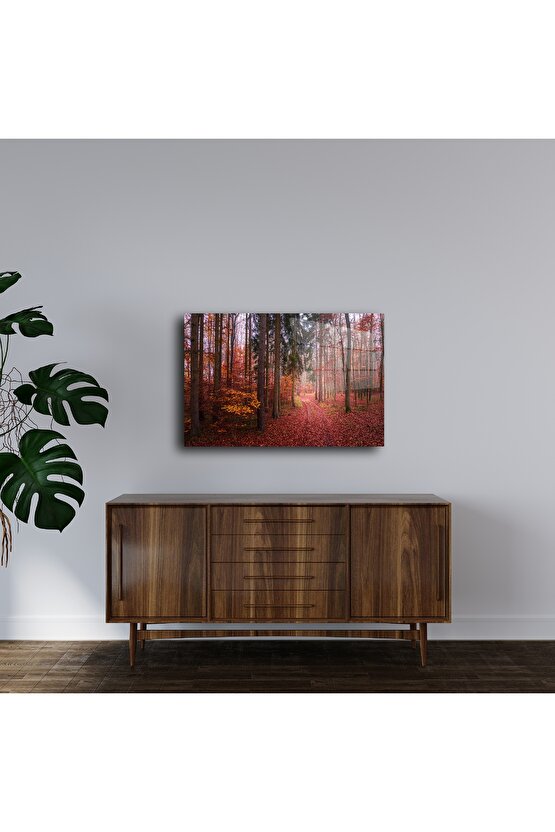 Kırmızı Yapraklı Orman Yolu Cam Duvar Tablosu