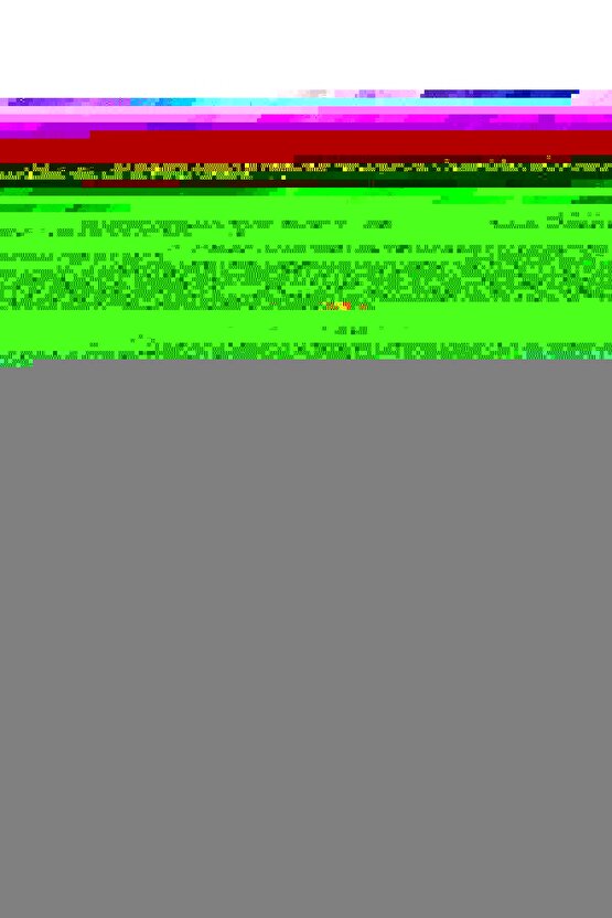 Yüksek Bel Bol Paça Kemerli Likralı Kadın Palazzo Pantolon - Lacivert