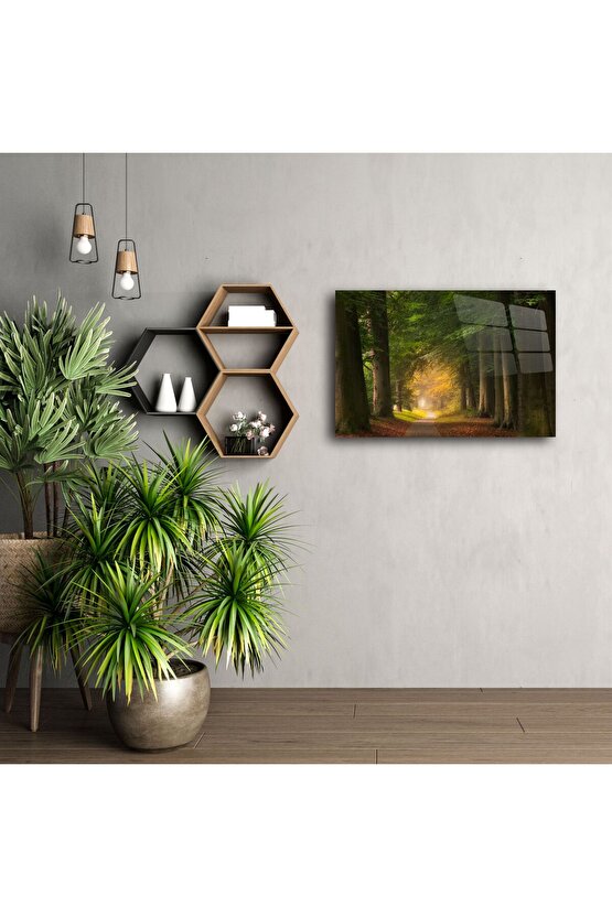 Sisli Orman Yolu Kanvas Tablo
