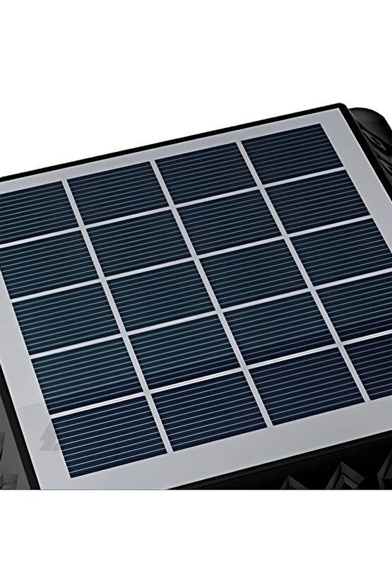 2 Adet Güneş Enerjili, Kumandalı, RGB, Gün Işığı, Mavi, Kırmızı Işıklı Gece Sensörlü Bahçe Apliği