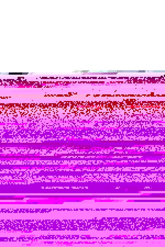 Everly Brode Sütyen Takım