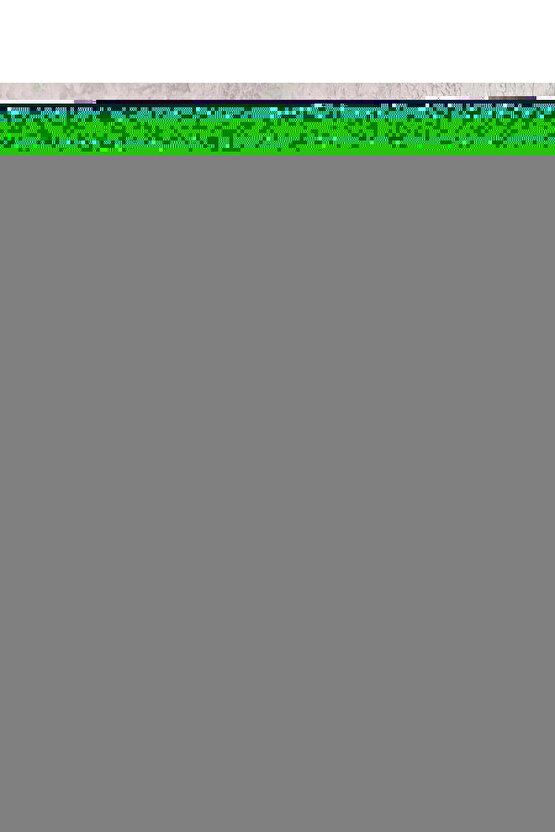 Beyaz Silver Logo Bant Detaylı Kadın Sneaker