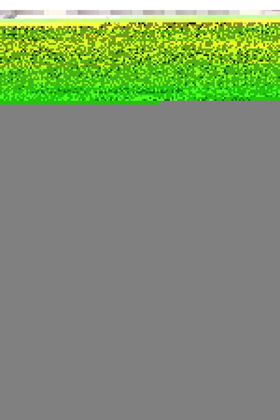 Tokıo Çocuk Pembe Çizme W10274-010