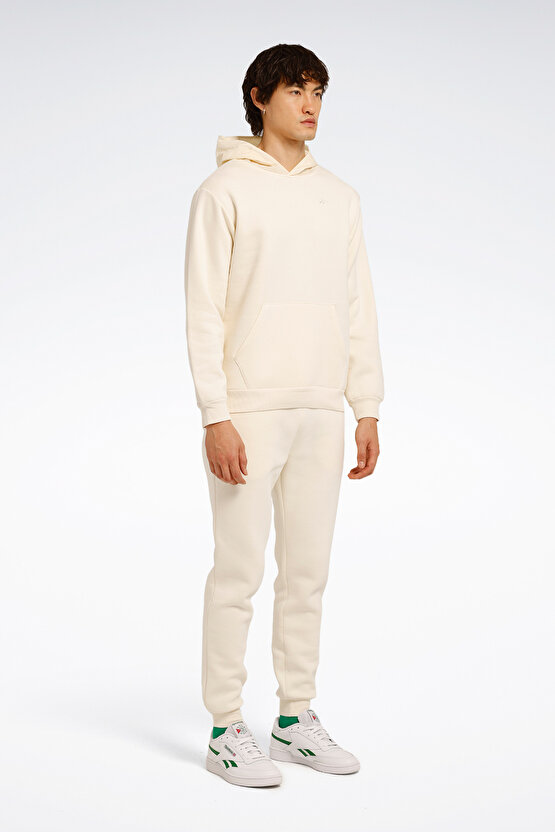 ARIN HOODIE Bej Erkek Sweatshirt