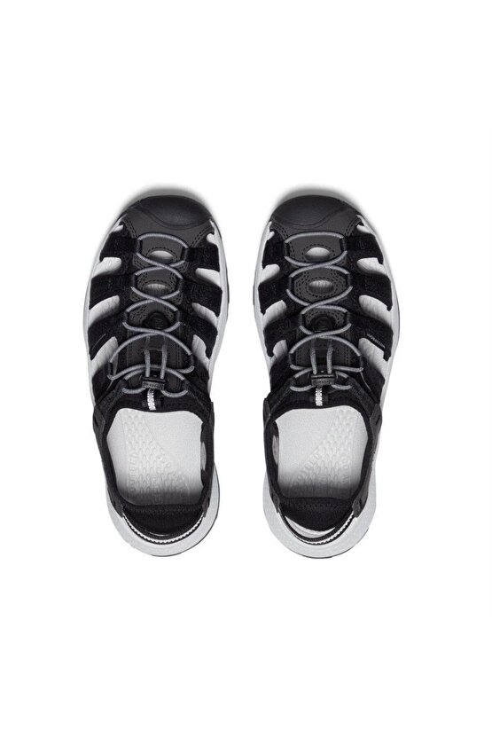 Astoria West Siyah Kadın Sandalet