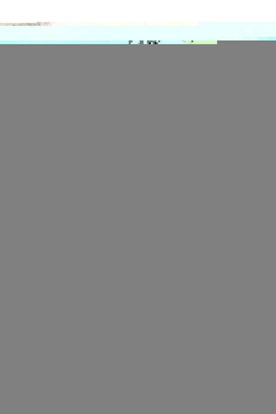 Ervık Ins Raın Mont