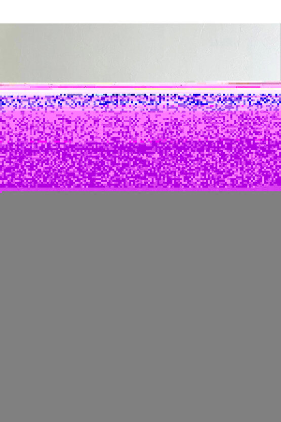 X Raise 2 Gore-Tex Erkek Outdoor Ayakkabısı ERKEK OUTDOOR AYAKKABI L47064400