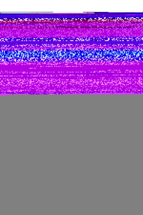 Raru Stee105 - Unisex Jora Terlik