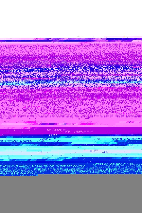 POLIZEI Premium Kalite Kapşonlu Varak Ve Pano Baskılı SweatShirt - Siyah