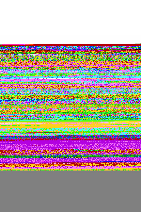 SARAH Düz Topuklu Taşlı Şeritli Kalın ve Ortopedik Taban Kadın Terlik CST - Siyah