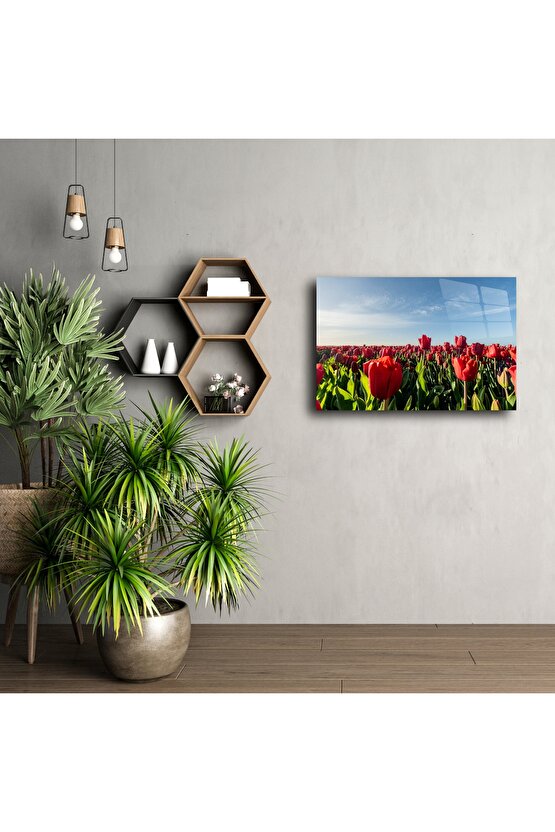 Panoramik Kırmızı Lale Tarlası Cam Tablo