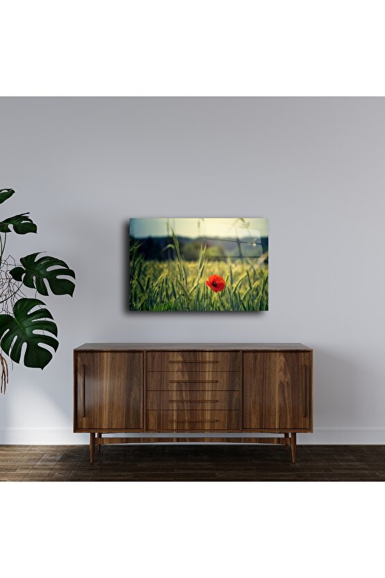 Doğada Tek Gelincik Temalı Lüks Cam Tablo