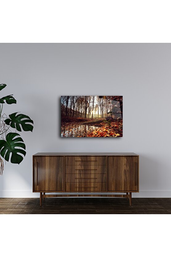 Sonbahar Ormanı Cam Tablo
