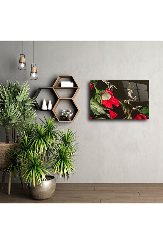 Kırmızı Gelincik Çiçekli Cam Tablo