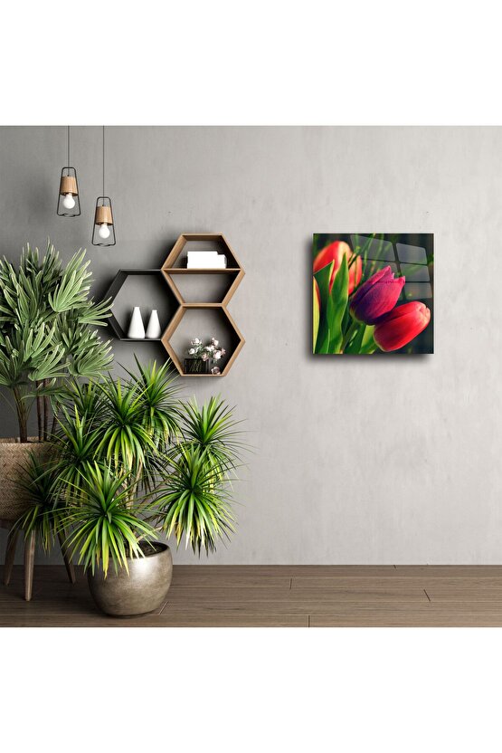 Canlı Kırmızı Lale Çiçek Fotoğrafı Cam Tablo