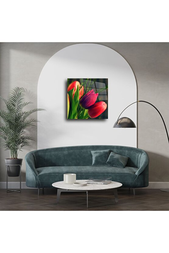 Canlı Kırmızı Lale Çiçek Fotoğrafı Cam Tablo