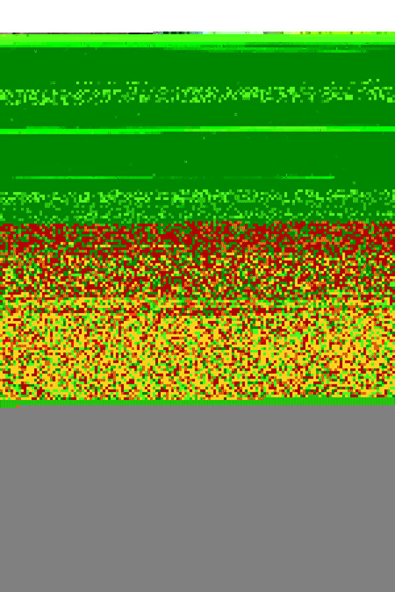 Neon Işıkta Güller Arasında Tüylü Kedi Cam Tablo