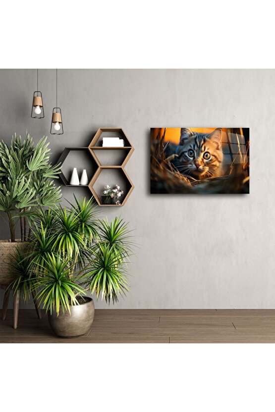Yakın Plan Kedi Temalı Cam Tablo