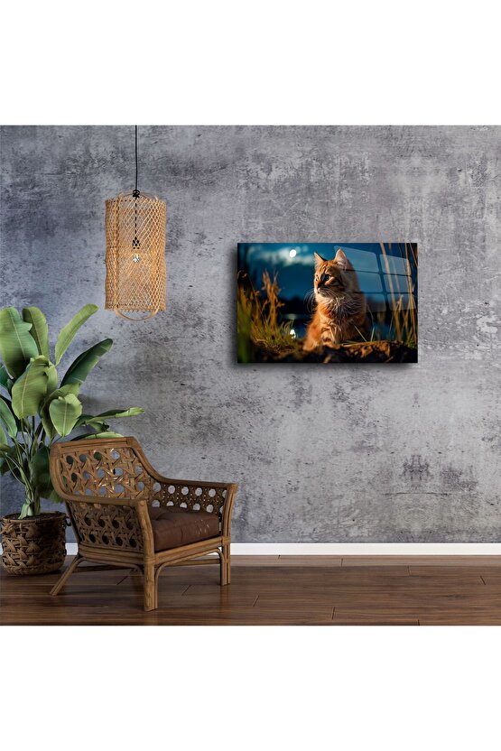 Kedi Temalı Temperli Cam Duvar Tablosu