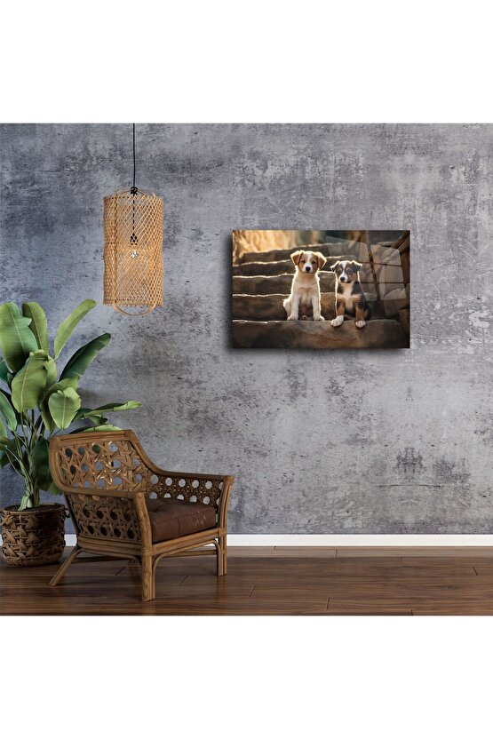 Doğal Işıklı Merdivende İki Yavru Köpek Metal Tablo