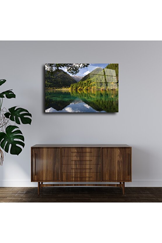 Orman Manzarası Cam Tablo Duvar Dekoru