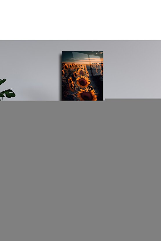 Kadın Daire Yakalı Omuzlardan Kollara Yayılan Kanat Detaylı çift Renkli Uzun Ithal Krep Elbise