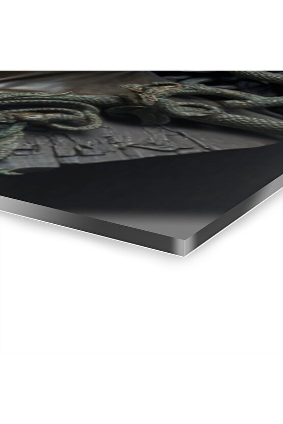 Kadın Model Medusa 4 Cam Tablo Duvar Dekoru 23