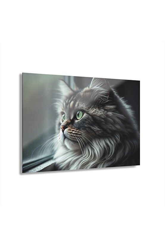 Kedi Cam Tablo Duvar Dekoru 2