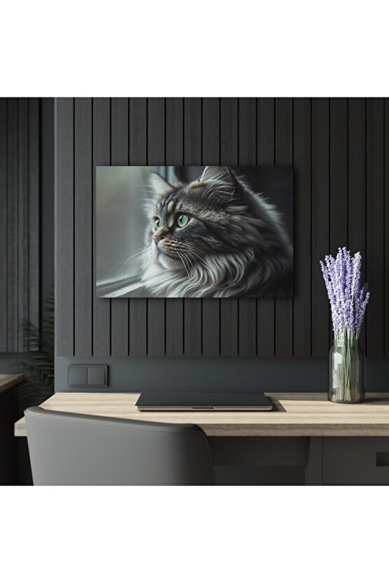 Kedi Cam Tablo Duvar Dekoru 2