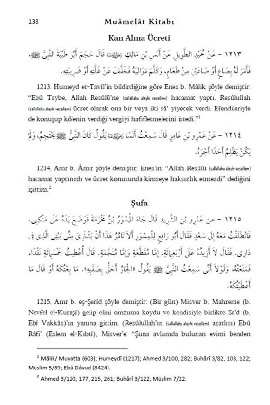 Temel Sahih Hadisler 3 Cilt Takım