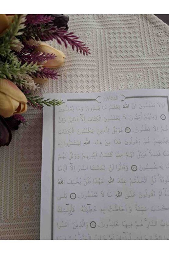 Gölgeli Kuran-ı Kerim (SİYAH)  Kolektif   Kalem Hediyeli