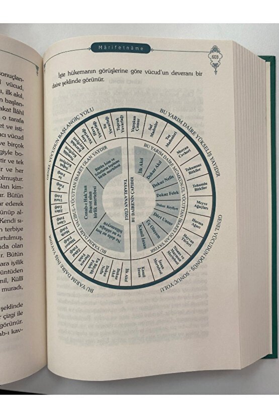 Marifetname renkli baskı