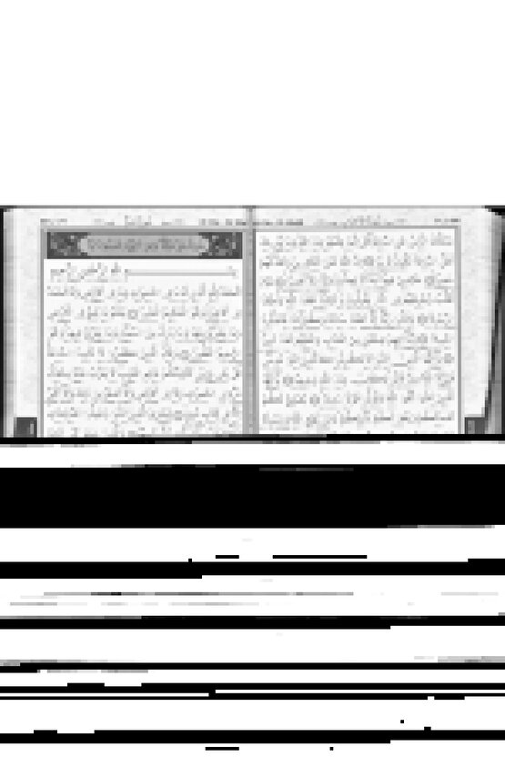 Erkek Yakalı Kagi Kumaş Kısa Kollu T-shirt