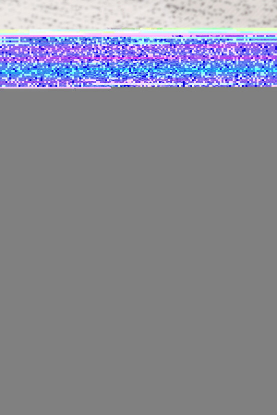 munn collection JAKARLI BLUZU TASARIM DETAYLI CEKET-PANTOLON-BLUZ 3 LÜ TAKIM - Beyaz