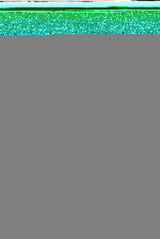 munn collection Bordo Leopar Büzgülü Uzun Etek