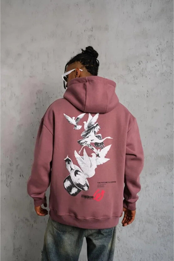 Erkek Şapkalı Güvercin Baskılı Kapşonlu Sweat - Gül Kurusu