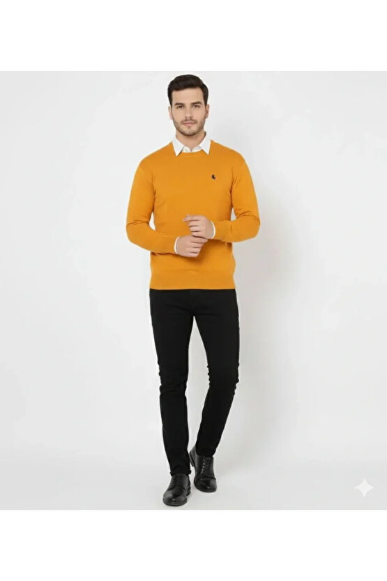 Erkek Bisiklet Yaka Nakış Işlemeli Triko Kazak Yumuşak Dokulu Pamuklu Ince Dokuma, Uzun Kollu Rahat