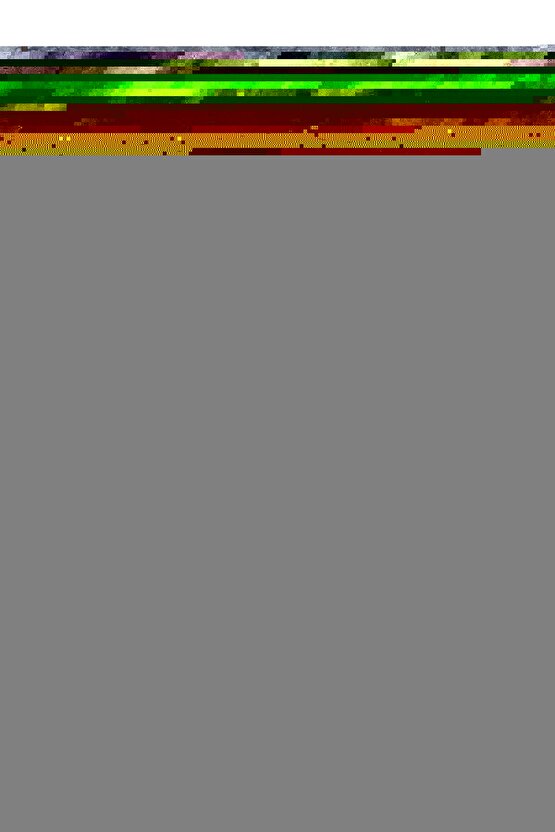 Kadın Zebra Baskılı Omuz Askılı Sırt Dekolteli Yırtmaç Detay Elbise