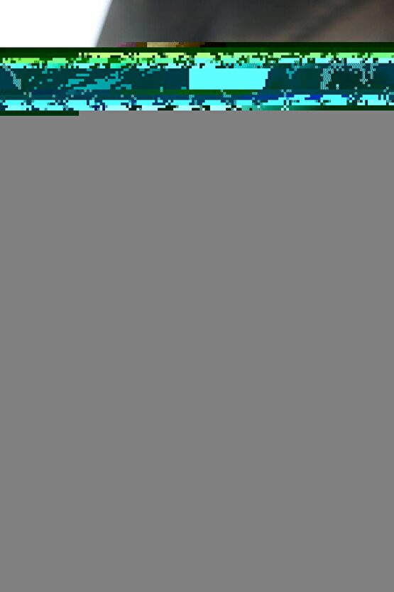 Erkek Kısa Kollu Yakalı Tişört