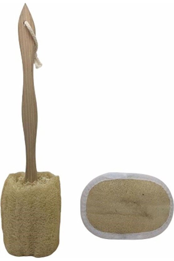 MDB Astarlı Kemerli Trenckot Taba