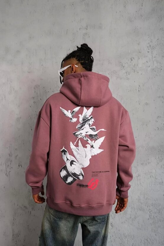 Erkek Şapkalı Güvercin Baskılı Kapşonlu Sweat - Gül Kurusu