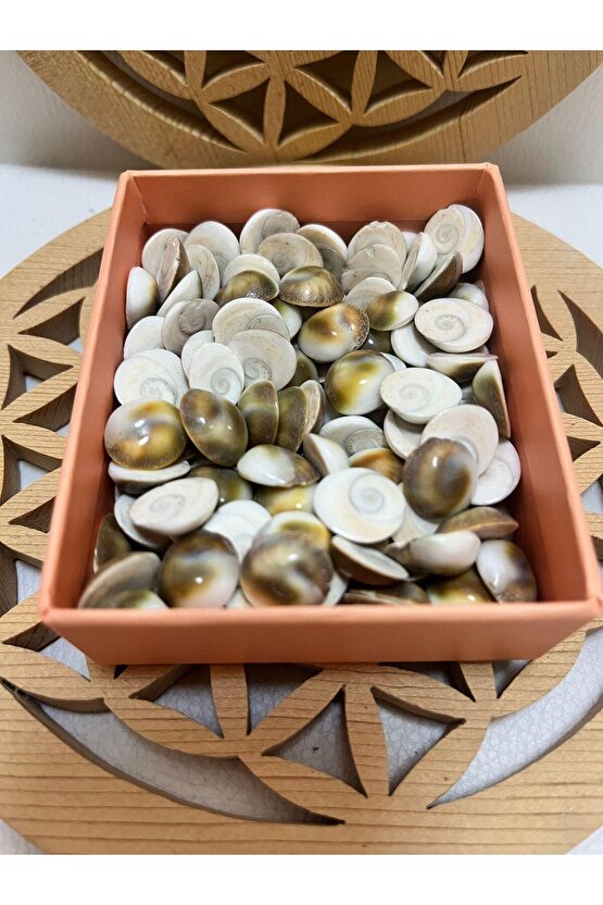 Yılancık taşı 3 adet