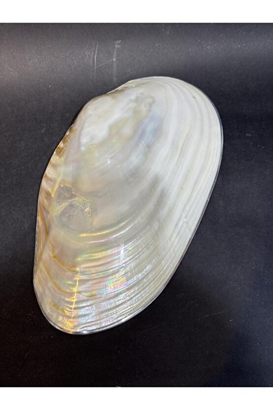 KABUK XXL GÜMÜŞ ÇERÇEVELİ