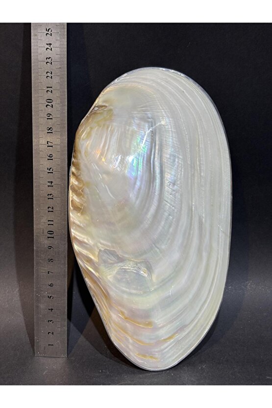 KABUK XXL GÜMÜŞ ÇERÇEVELİ