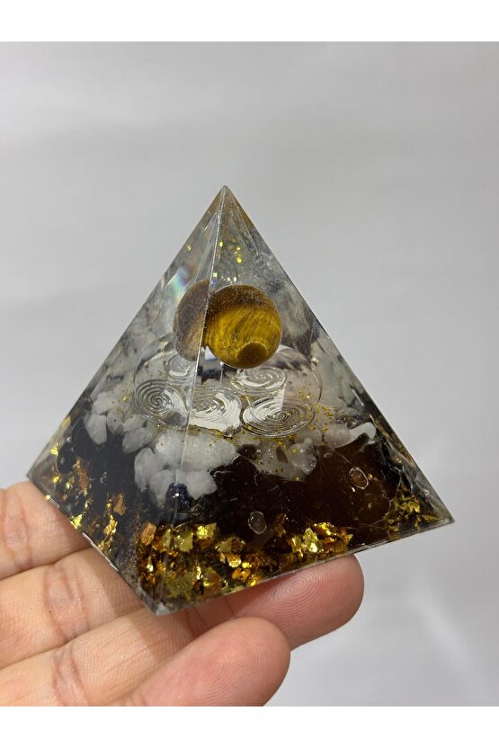 KAPLANGÖZÜ TRİSKELE SEMBOLLÜ YAŞAM DÖNGÜSÜ ORGONİT