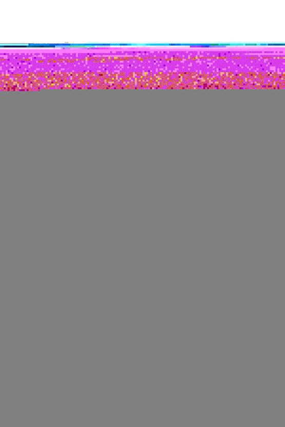 MARGARET Fermuarlı Ortopedik Taban TopukluKadın Bot - ST - Siyah